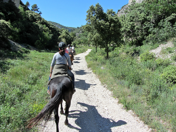 Provence horse riding